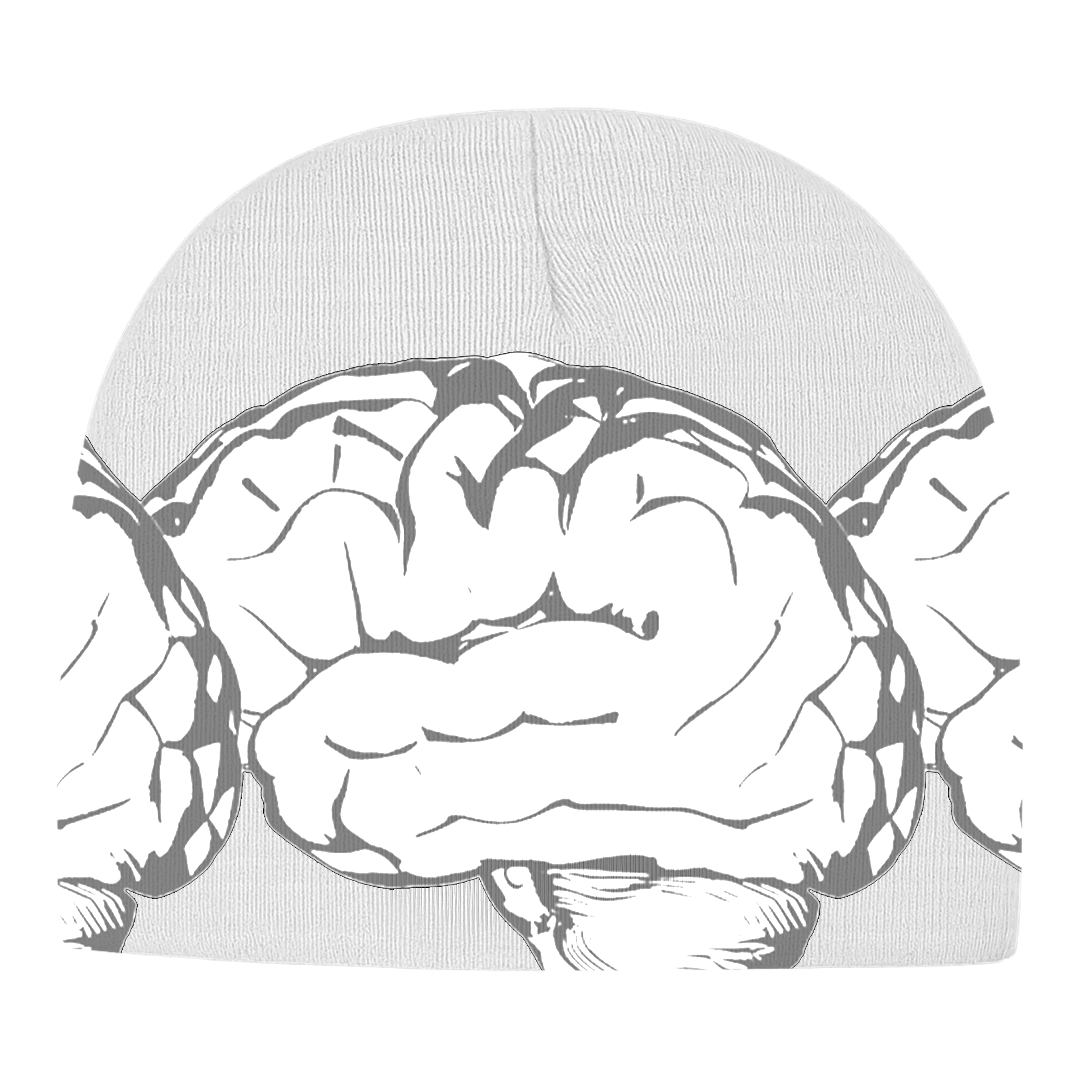 BRAIN POWER BEANIE