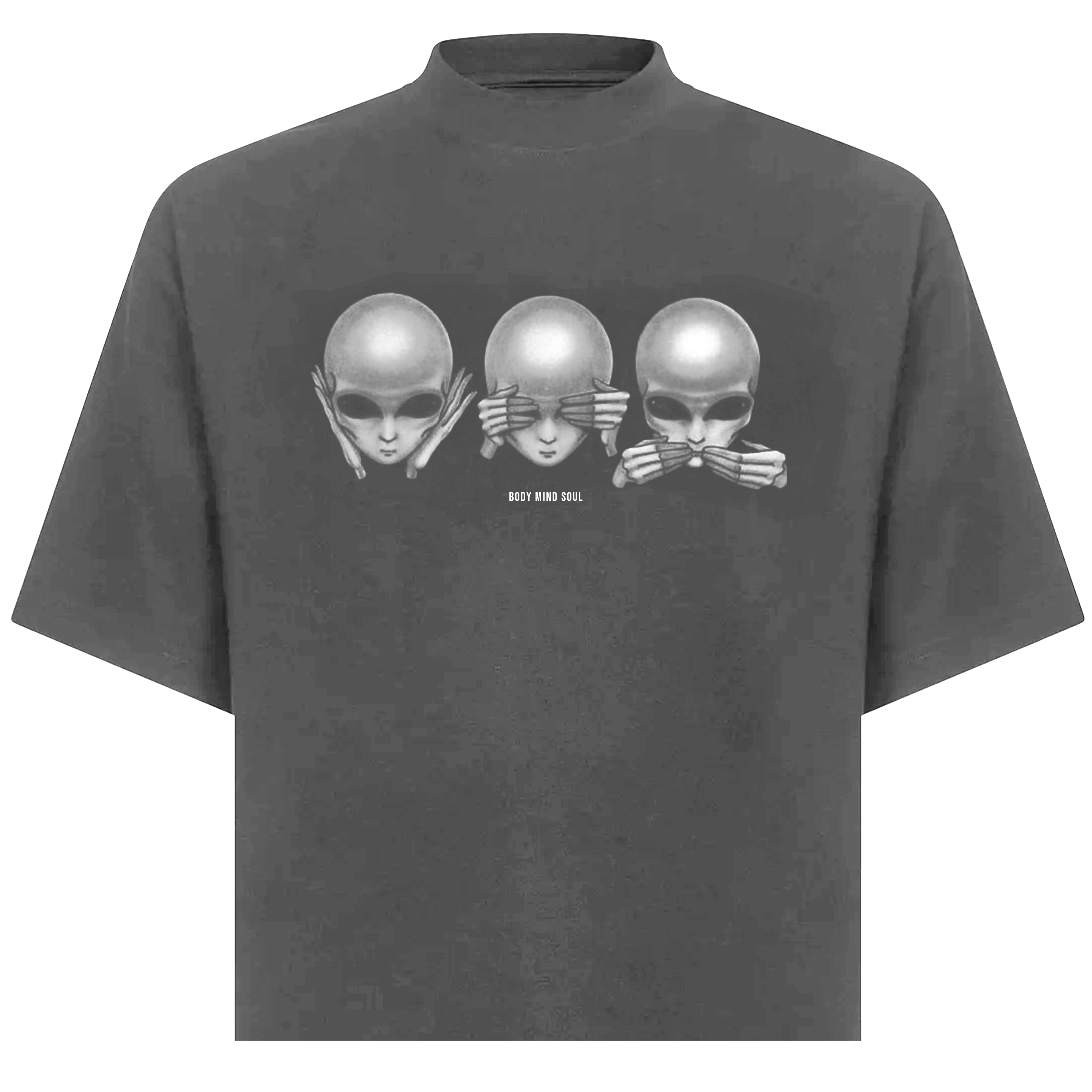 NO EVIL TEE (GREY)